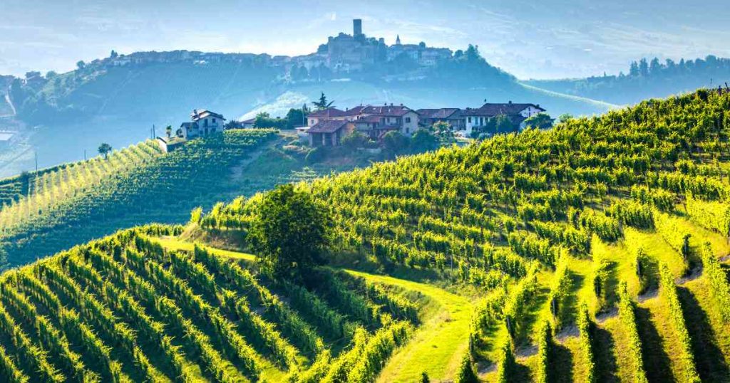 langhe panorama